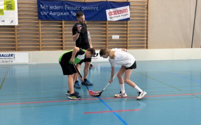 Kantonalfinal Unihockey, Birr