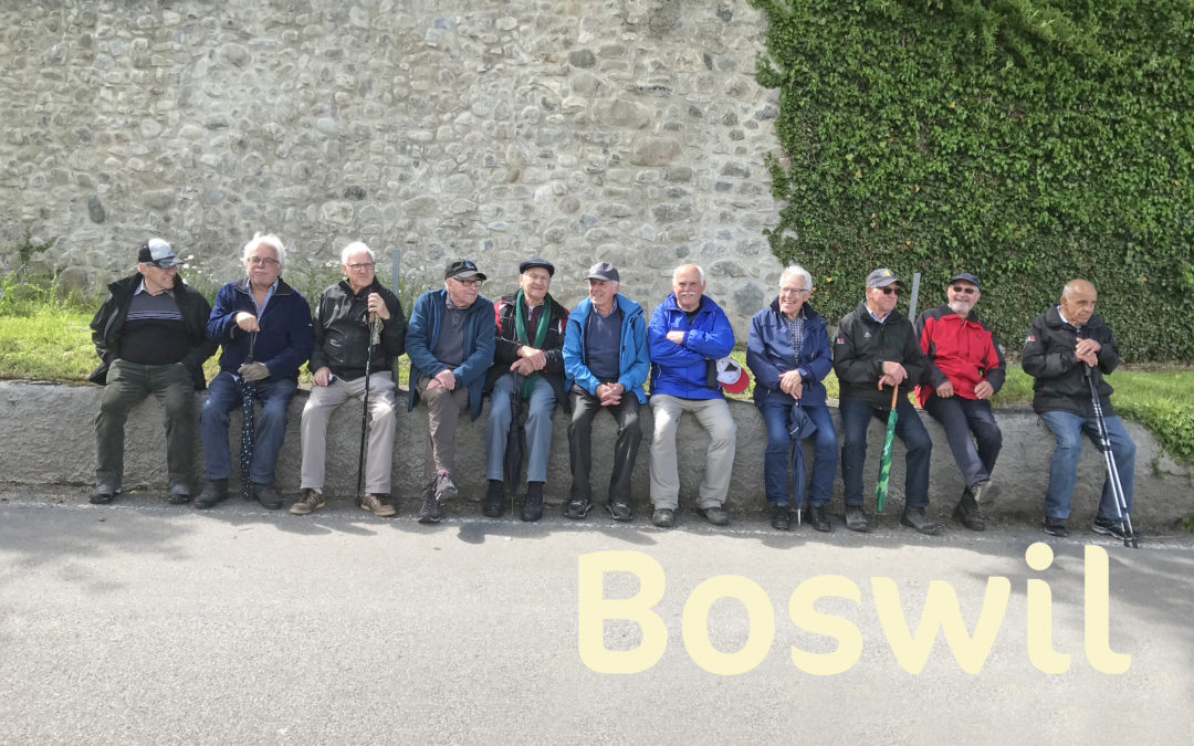 Boswil und Besenbüren