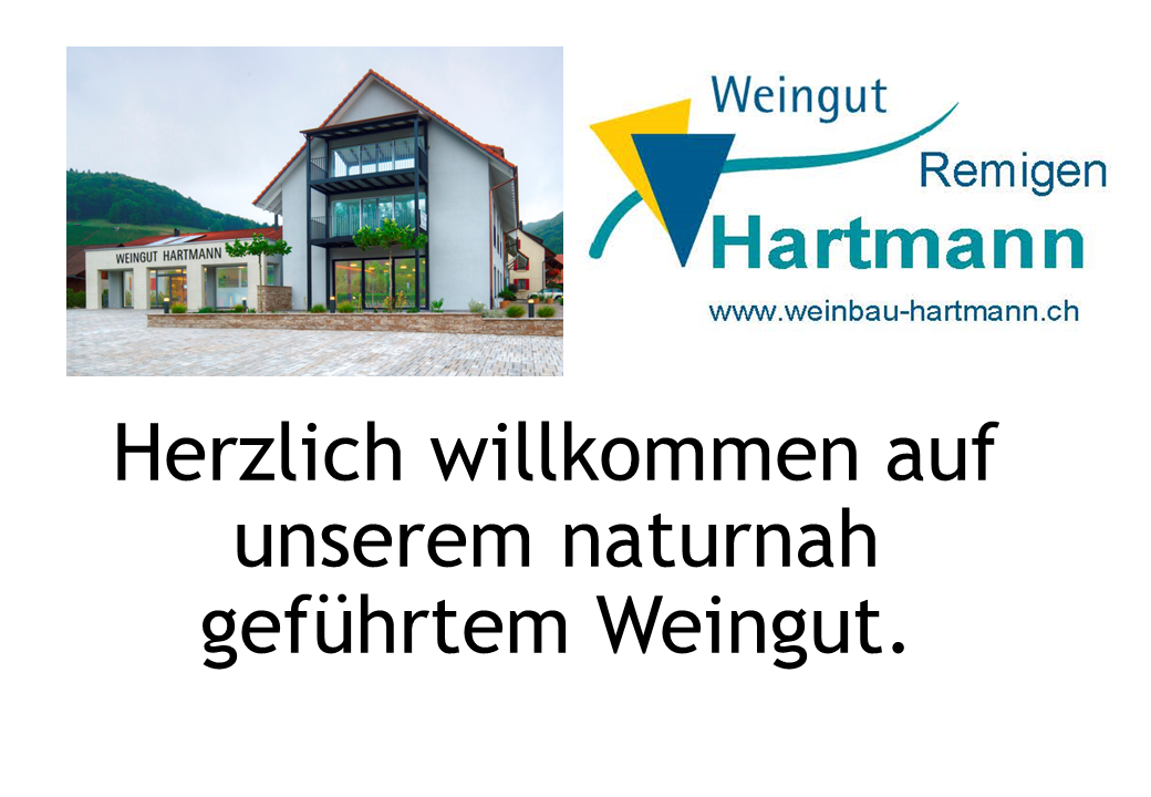 Weingut Hartmann AG