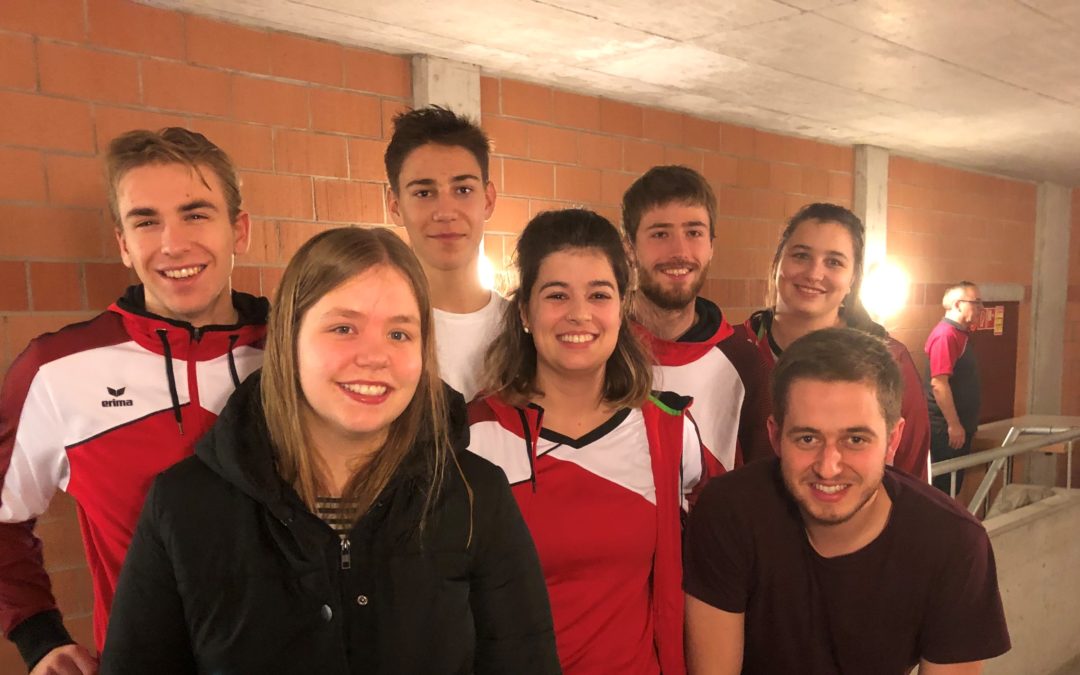 Volleyballturnier Birmenstorf