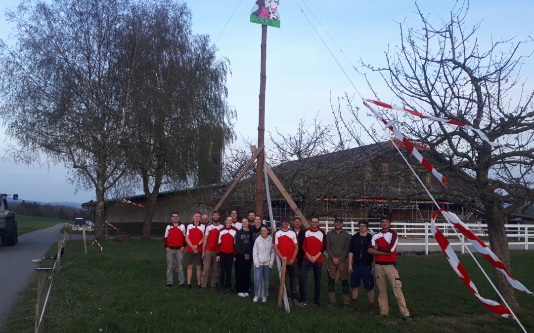 Bäumlistellen Rahel